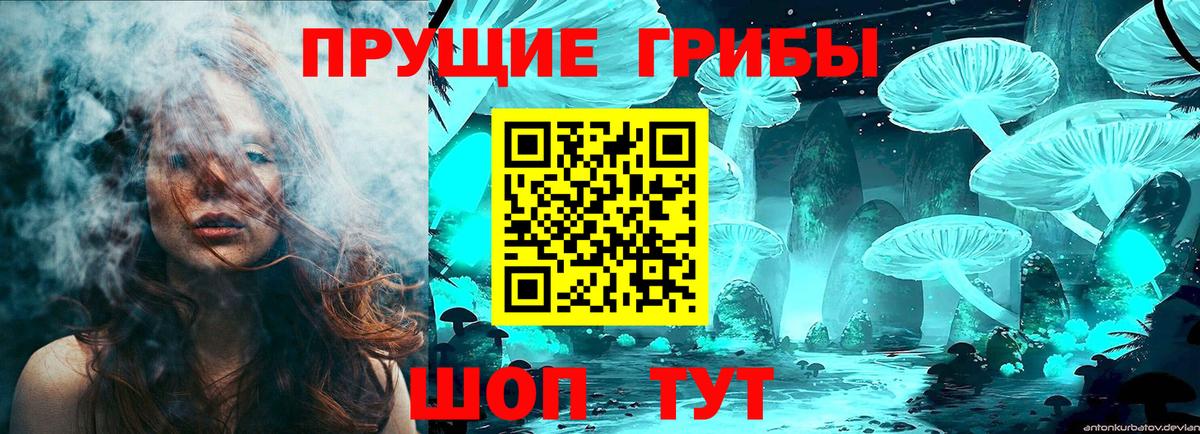 Псилоцибиновые грибы GOLDEN TEACHER Медногорск